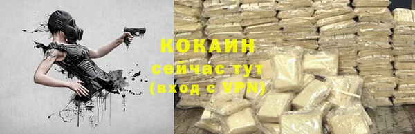 шишки Арсеньев
