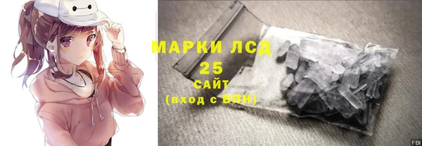 шишки Арсеньев