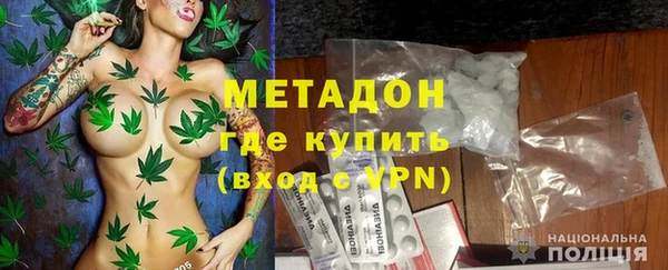 шишки Арсеньев