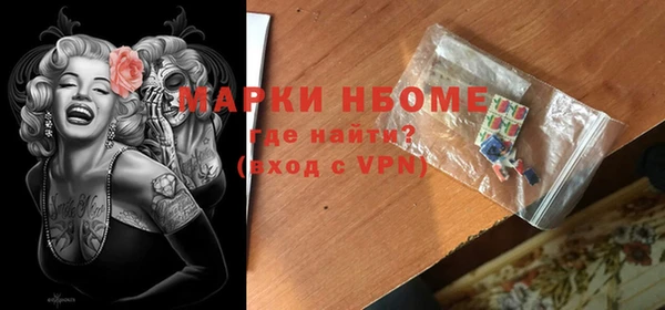 шишки Арсеньев