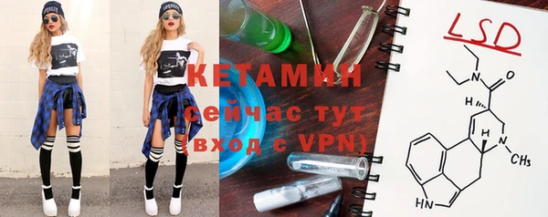 шишки Арсеньев