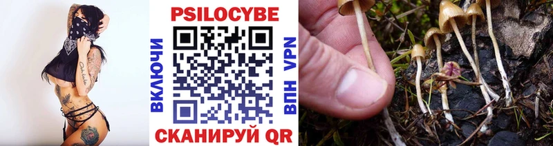 Галлюциногенные грибы прущие грибы  Тверь 